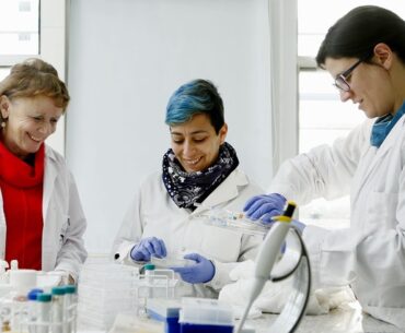 españa.convocatorias